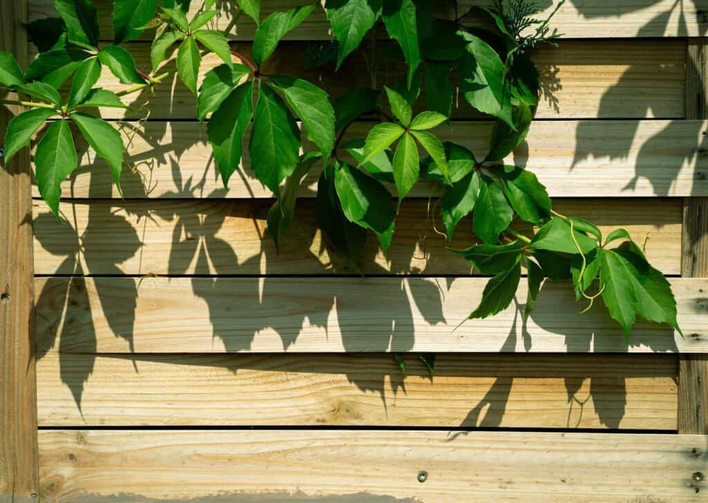 Holzzaun Lärche: Der natürliche Sichtschutz für Ihren Garten