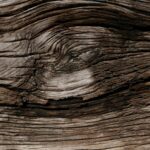 Detailaufnahme einer gealterten, verwitterten Holzstruktur mit filigranen Maserungsmustern.