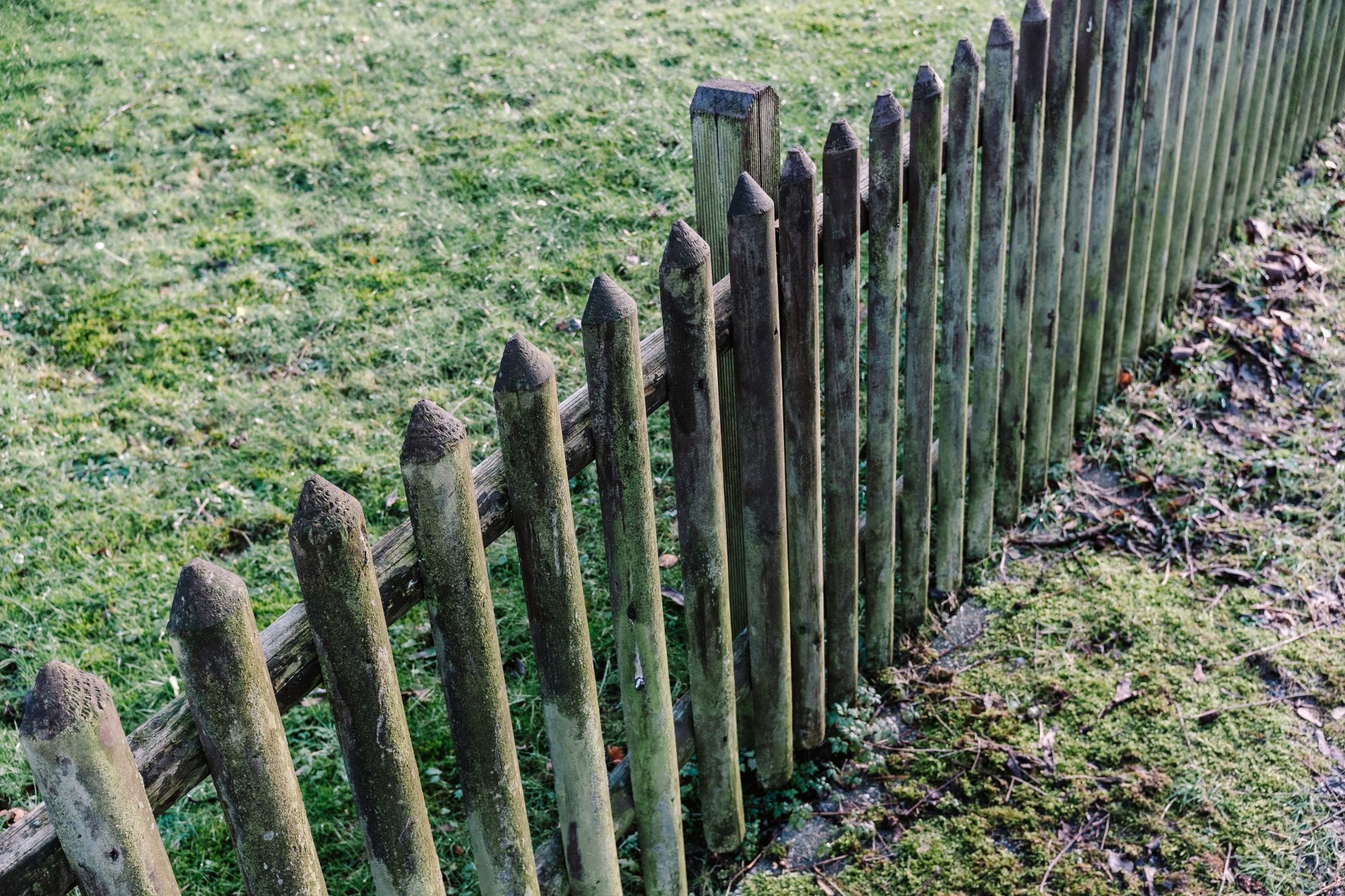 Ein rustikaler, verwitterter Holzzaun in einer grasbewachsenen Gartenumgebung. Perfekt für Naturfotografie.
