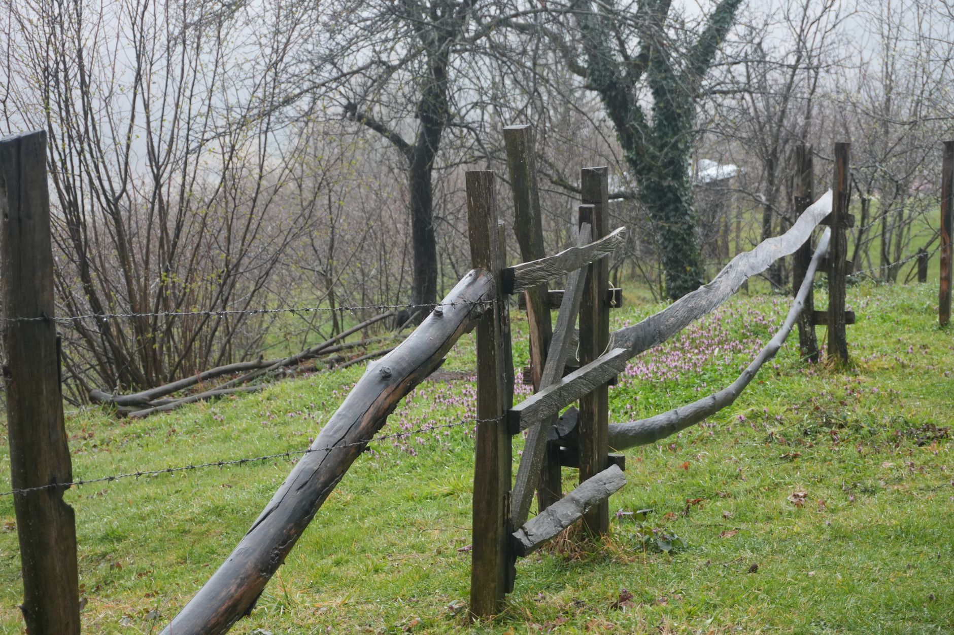Ein rustikaler Holzzaun verläuft entlang einer nebligen, baumreichen Landschaft und verströmt einen friedlichen, ländlic