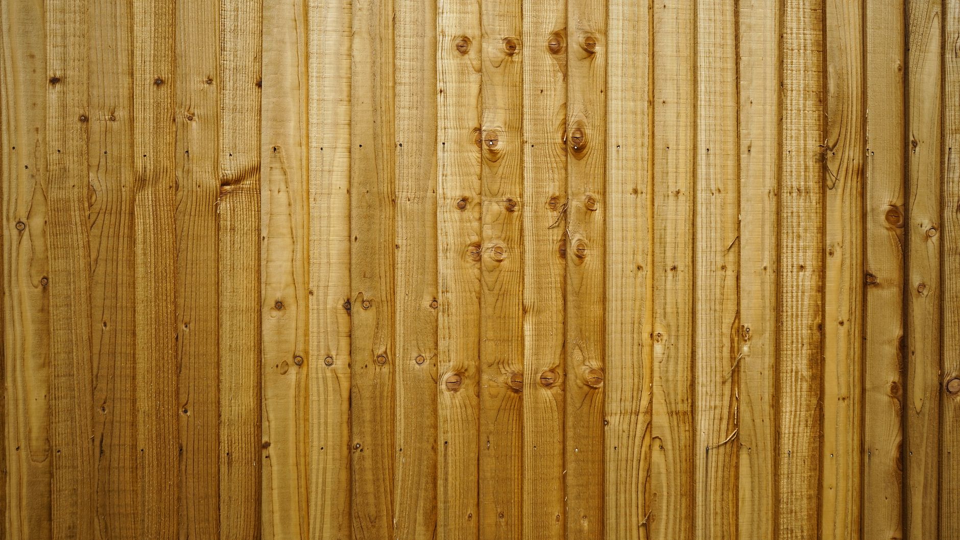 Kostenloses Stock Foto zu @draussen, außen, bau