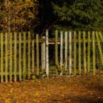 Rustikaler Holzzaun In Herbstlicher Waldkulisse