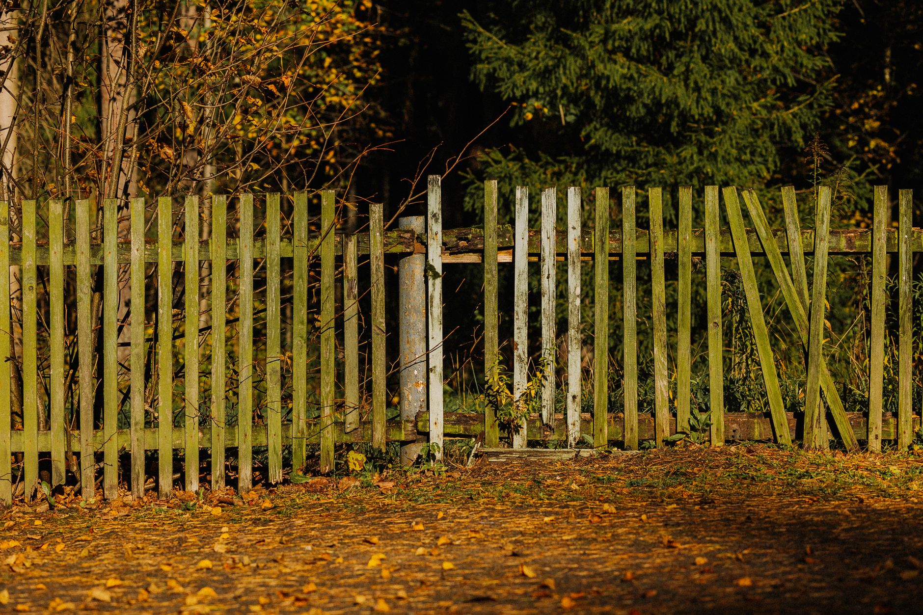 Rustikaler Holzzaun In Herbstlicher Waldkulisse